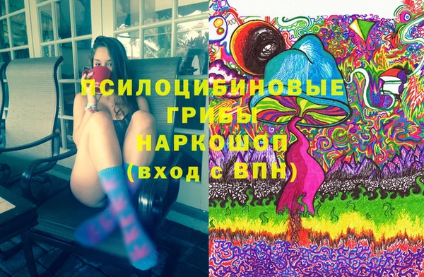 ешки Новозыбков