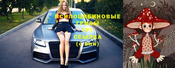 шишки Алексин