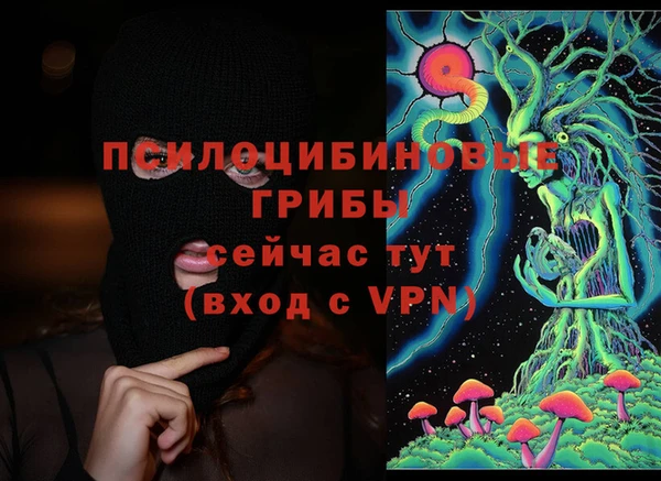 ешки Новозыбков