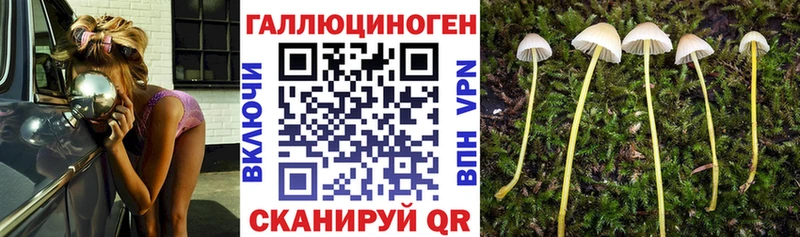 Галлюциногенные грибы Psilocybine cubensis  где продают   кракен   Протвино 
