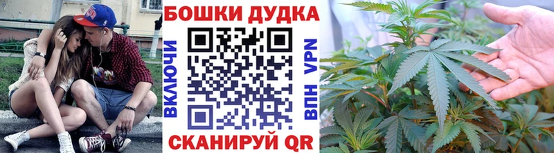 Бошки Шишки планчик  Протвино 